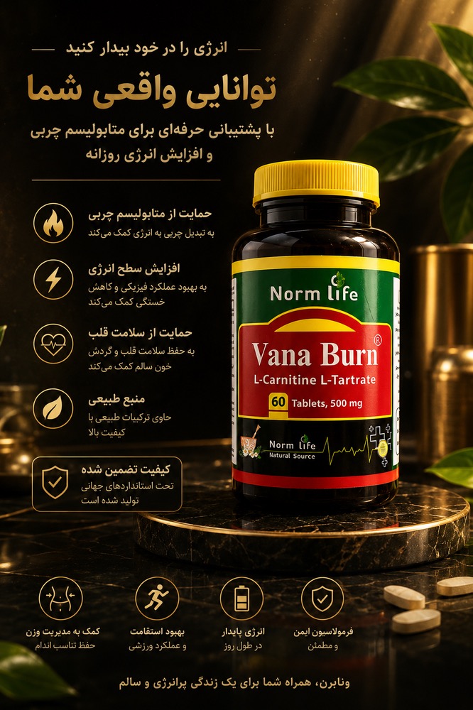 قرص ال کارنیتین وانا برن 500 میلی گرم 60 عددی نورم لایف